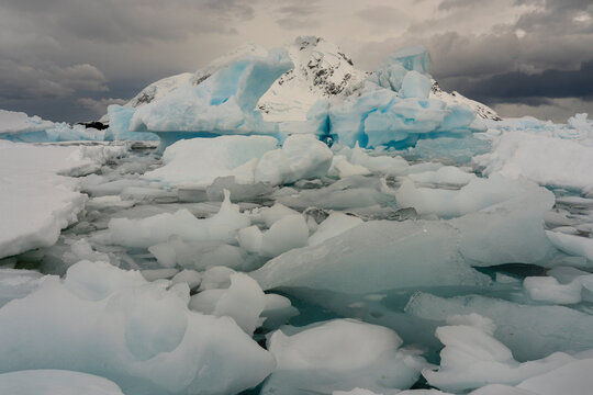 Ice drifting and iceberg in Paradise Bay, Antarctica
