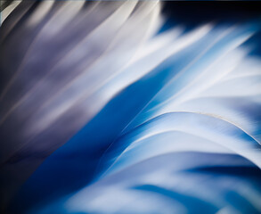 abstract blue feathers background