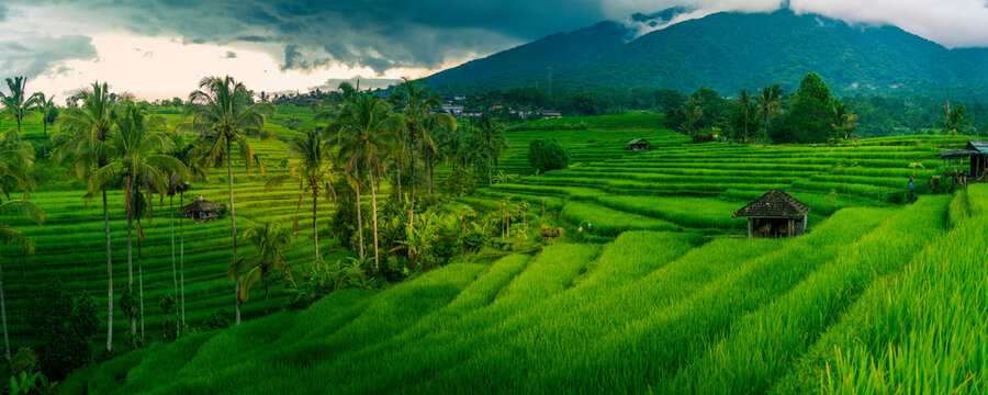 View of Sidemen Rice Terrace, Sidemen, Kabupaten Karangasem, Bali