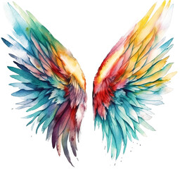 Obraz premium Wing watercolor transparent background
