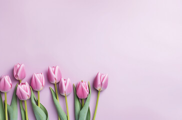 Pink Tulips On A Pink Background At A Distance, I