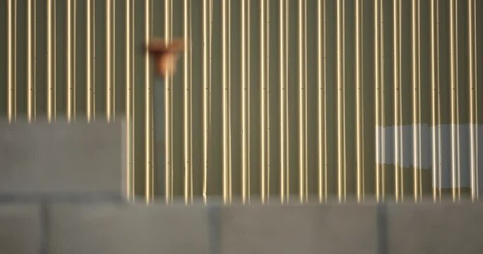 The camera's focus shifts between the foreground and background. In the foreground, a cinderblock wall with rebar expresses new construction. In the background is a warehouse's corrugated wall.