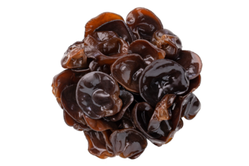 group of fresh black wood ear mushroom isolated on white background.