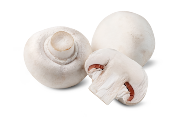 whole and half white button mushrooms isolated on white background.