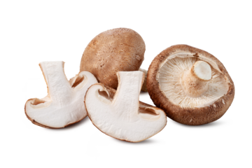 fresh shiitake mushrooms with slices isolated on white background.