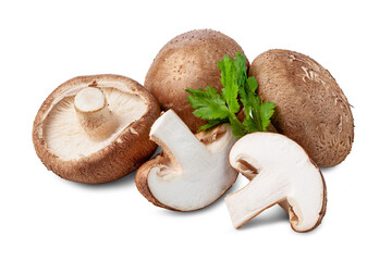 fresh shiitake mushrooms with slices isolated on white background. - obrazy, fototapety, plakaty