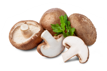fresh shiitake mushrooms with slices isolated on white background.