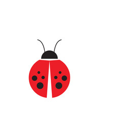 beetle icon