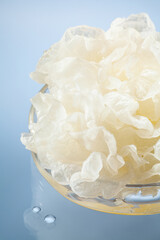 close up of fresh snow fungus or tremella fuciformis on blue background.