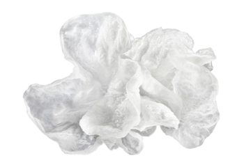 fresh snow fungus or tremella fuciformis on black background.