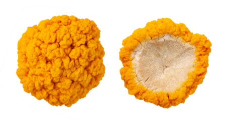 fresh golden ear mushroom or tremella mesenterica (yellow brain fungus) isolated on white background.