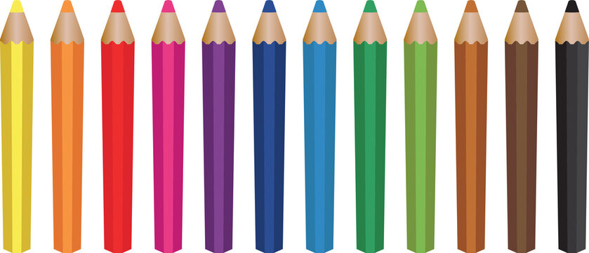 colored pencil collection. isolated  illustration colorful pencils. colored pencil background