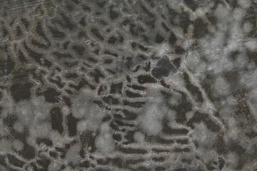 A close-up shot of a textured pattern framed by the edges of an image. The background is filled with intricate detail and no people are visible.