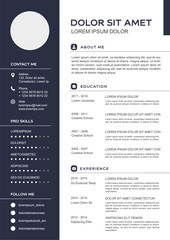 professional curriculum vitae template vector