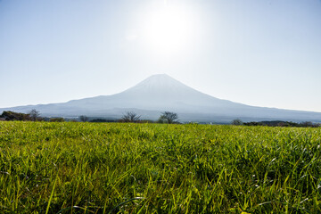 富士山とその真上に輝く朝日と草原　朝霧高原
