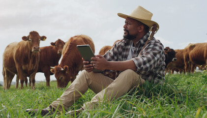 Grass, farmer and black man with a tablet, agriculture or relax with cows, connection or entrepreneur. Male person, cattle or business owner with technology, growth or countryside with sustainability