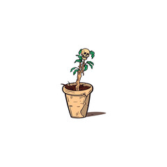 flower pot with skull plant,concept