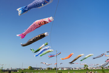 風に揺られて舞う鯉のぼり　こどもの日