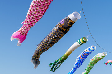 風に揺られて舞う鯉のぼり　こどもの日