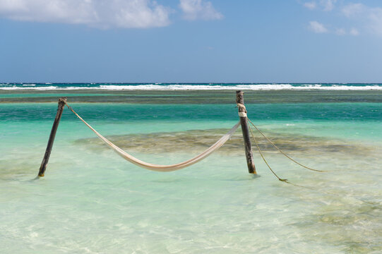 sea hammock at summer vacation holiday. sea hammock at summer vacation for relaxing. image of sea