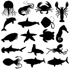 aquatic animals icon transparent png
