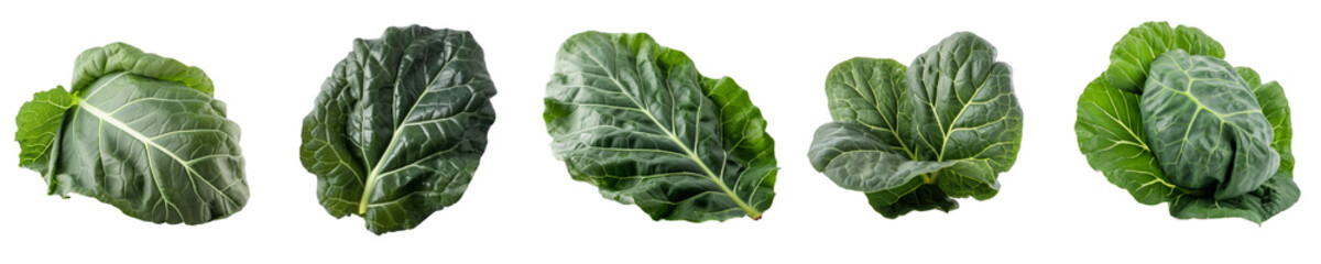Set of collard green isolated on transparent background	
