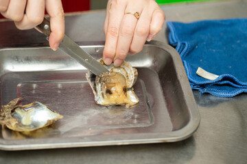 The process of extracting pearls from scallops