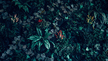 Group background of dark green tropical leaves ( monstera, palm, coconut leaf, fern, palm leaf,bananaleaf) Panorama background. concept of nature