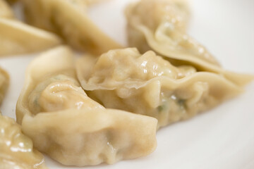 chinese steamed dumplings with meat