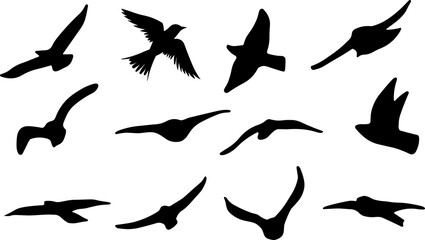 set of silhouettes of flying birds - Stock vector