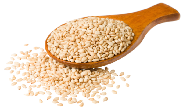 Roast white sesame seeds in the wooden spoon, isolated on white background.