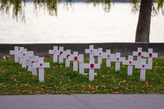 A group of white crosses with red poppy flowers stands on a grassy field by a lake.