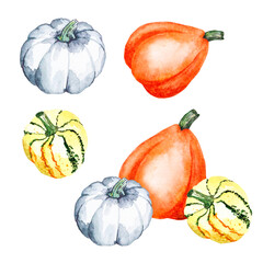 Pumpkin composition. Watercolor illustration of bright pumpkins. hand drawn illustration with vegetables