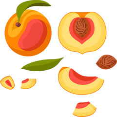 fruit, food, healthy, vector