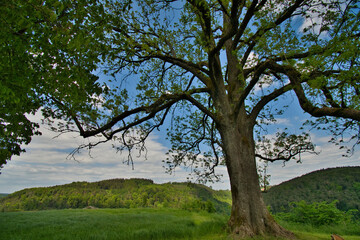 Chateau de Lutzelbourg in Moselle in Frankreich