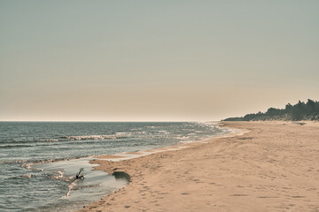 Empty sea shore in the morning. Baltic Sea sand beach. Concept of vacationing.
