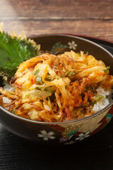 桜エビと野菜のかき揚げ丼