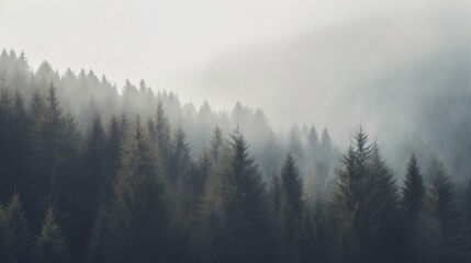 Foggy forest in the mountains. Generative AI. 