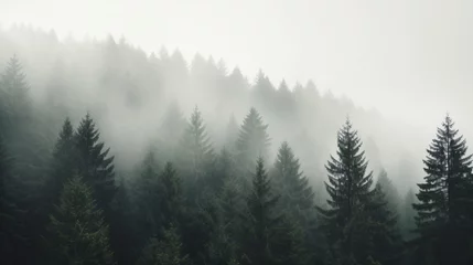Fototapeten Foggy forest in the mountains. Generative AI.  © XtravaganT