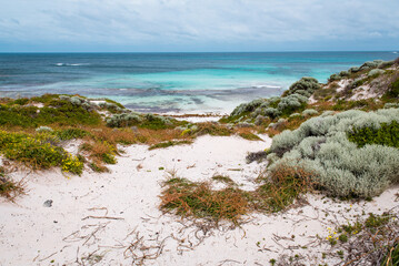 Scenic coastal view of Rottnest Island with turquoise water of the ocean. Empty beach landscape...