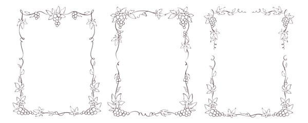 Set of design elements with vine. Vector graphic illustration, frames for wine label design	