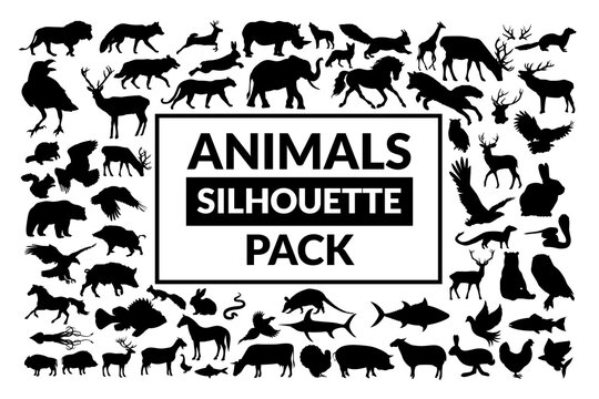 vector silhouettes of animals (mammals, birds, fish, insects)