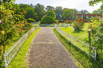 新緑の服部緑地公園　大阪府豊中市にて