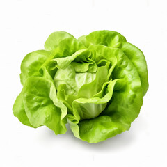 lettuce fresh salad food vegetable cabbage green isolated raw image on white background