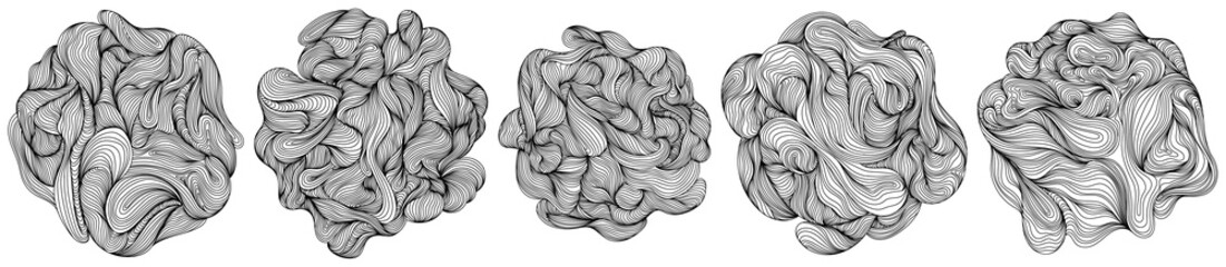 Fototapeta premium Abstract tree rings. Topographic map concept. Thin black lines isolate on white.