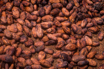 Aromatic cocoa beans as a background