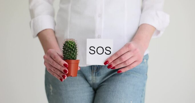 Cactus against background of internal organs symbolizes female pains and test of sos. Dysmenorrhea painful periods