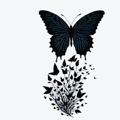 black butterfly on white background. vector