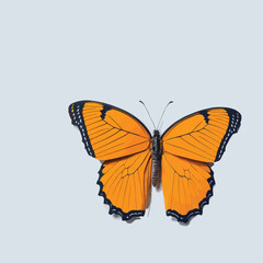 orange butterfly isolated on white background vector