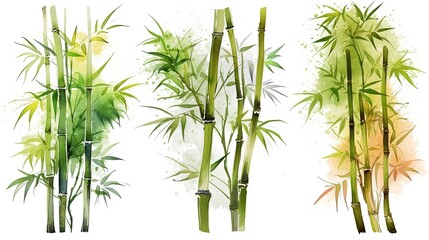 set of watercolor bamboo tree, generative ai